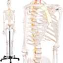 72.83 Inch Life Size Human Skeleton Model for Anatomy, Anatomically Correct Skeleton with Detachable Skull & Movable Arms Legs, Medical Study Teaching Tool & Halloween Skeleton Decoration