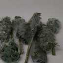 120 Pcs 4 Kinds Mixed Artificial Eucalyptus Leaves Stems Bulk Fake Silver Dollar Eucalyptus Bundle Faux Plants Greenery for DIY Bouquets Floral Arrangement Wedding Engagement Party Decor (Green)