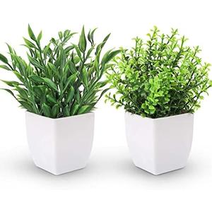 Der Rose 2 Pack Fake Plants Mini Artificial Greenery Potted Plants for Home Decor Indoor Office Table Room Farmhouse