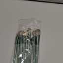 Makeup Brushes,Makeup Brushes Set,13 PCS Make Up Brushes for Foundation Eyebrow Concealer Eye Shadows Powder,Makeup Brush Kits for Travel and Daily Makeup Use (Green)