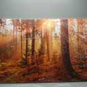 msspart Mystery Forest Light Wall Art, Nature Landscape Pictures Canvas Prints Wall Decor, Autumn Trees Paintings Hang for Office Bedroom, Bathroom, Living Room for Home Decoration - 32”x48”