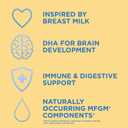 Amazon Brand - Mama Bear Infant Premium Milk-Based Baby Formula Powder with Iron, 2'FL HMO, Omega-3 DHA and Choline, Brain, Growth, Immunity, Non-GMO, 2.12 pound (Pack of 1) (EXP 08/20/26)