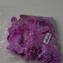 40 Pieces Orchid Petals Artificial Decorations Wedding Party Orchids Heads Flowers Faux Silk Phalaenopsis Butterfly Flower Heads for DIY Craft Home (Light Purple)