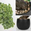 Artificial Bonsai Tree Juniper Faux Plants Indoor Fake Plants Decor with Black Ceramic Pots for Home Table Office Desk Bathroom Shelf Bedroom Living Room Farmhouse Decorations