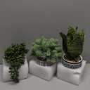 Winlyn 3 Pcs Small Potted Plants Artificial Succulents Hanging Plants and Faux Tropical Snake Plant in Black Geometric Pots for Modern Home Kitchen Windowsill Table Shelf Indoor Outdoor Greenery Decor