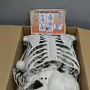 Halloween Skeleton, Realistic Life Size Skeleton with Movable Joints for Halloween Party Haunted House Indoor Outdoor Decoration (5.4ft-1P)