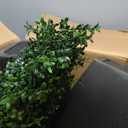5FT Artificial Boxwood Topiary Set of 2 Tall Fake Plants for Porch, Front Door, Indoor & Outdoor Realistic Fake Trees in Sturdy Pots, All-Year Green, Fake Plant Topiary Trees for Decorative