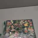 Galison World of Mushrooms – 1000 Piece Jigsaw Puzzle Featuring Beautiful Painted Artwork of A Mushroom and Fungi Collection