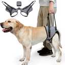 Dog Lift Harness, Dog Sling for Medium Large Dogs, Adjustable Dog Support Harness for Back Legs, Comfy Design Pet Harness with Padded for Elderly, Injured, Arthritic, Senior, Disabled Dogs