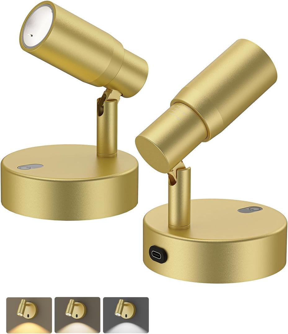 PESUTEN Spot Lights Indoor, Rechargeable Picture Light with Remote, Dimmable CCT Spotlight for Wall Art, 6000mAh Battery Uplights Indoor with Timer for Plant Artwork Painting Sofa Corner Light Gold (2PCS)