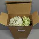 Lyrow 6 Pcs White and Green Hydrangea Artificial Flowers 30.3" Faux Hydrangea Flowers with Stems for Wedding Bouquets Table Centerpieces DIY Floral Home Decor