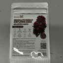 Groundio Chocolate Cherry Sunflower Seeds, 6-8 FT Giant Burgundy Black Sunflower, 80+ Helianthus Annuus Seeds, Non-GMO | Heirloom | High Germination | Attracts Pollinators