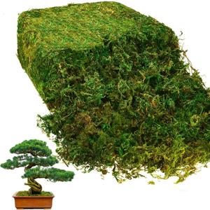 Giegxin 28oz Natural Green Sheet Preserved Moss Terrarium Green Moss Decor for Plant Crafts Flower Grass Floral for Garden Lawn Crafts Wedding Decor Flower Filler