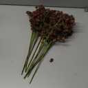 10 Pcs Artificial Soft Plum Sedum Berry Stem Fall Faux Berry Picks Branches Faux Spray for Home Halloween Thanksgiving Farmhouse Mantel Autumn Harvest DIY Decorations (16 Inch)