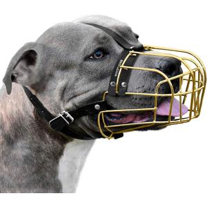 BRONZEDOG Pitbull Dog Muzzle Metal Mask Amstaff Wire Basket Pit Bull Adjustable Leather Straps for Large Dogs (Gold)