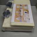 Shoe Organizer for Closet, 2 Pack Shoe Storage Organizer with Wheels and Adjustable Dividers, Stackable Shoe Storage Box with Clear Cover, Foldable Closet Shoe Organizer Fits up to 16-32 Pairs, Beige