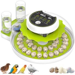 Quail Egg Incubator for Hatching Eggs with Automatic Egg Turning and Humidity Control 40 Eggs Large Capacity Quail Brooder Poultry Incubators, Also for Parrot, Dove, Canary and Other Birds