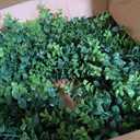 26 Inch Large Boxwoods Wreaths for Front Door Artificial Green Leaves Greenery Indoor Outdoor Wreath Home Decor Porch Window Wall Farmhouse Door Decorations Spring Summer Fall All Seasons