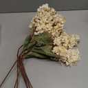 Hydrangea Artificial Flowers,Fall Hydrangeas Artificial Flowers, Fake Fall Dried Hydrangea Decoration,Faux Silk Flower with Stems Winter Decor Without VaseCream White 8PCS