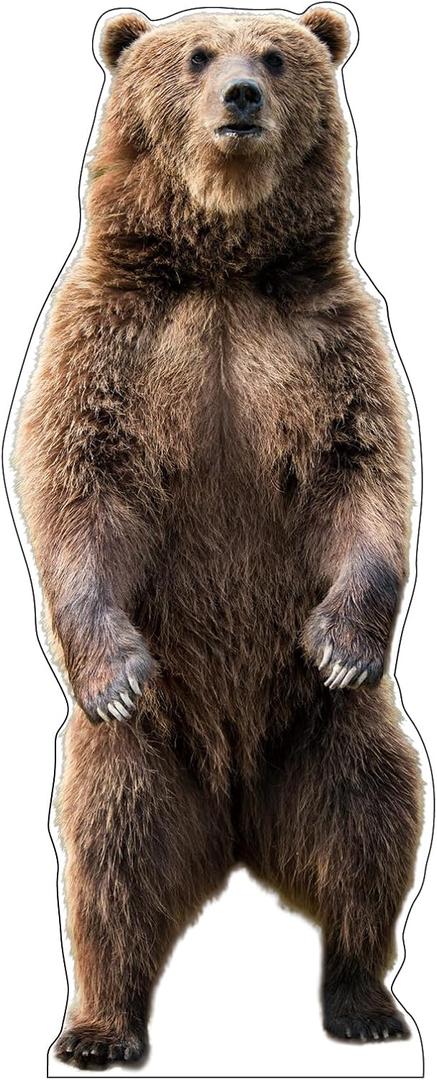 Life Size Cardboard Cutout Standup | Waterproof | Animals - Brown Bear