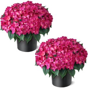 FOTEEWL Artificial Hydrangea Flower Topiary Trees - 2 Sets Faux Silk Flower Potted Plant, UV Resistant Fake Outdoor Hydrangea Bush for Front Door, Farmhouse,Garden, Porch Decor (Rose Red)