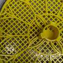 Incubator for Hatching Eggs-12 Egg Capacity, Automatic Egg Turner, Temperature & Humidity Control, 360 Viewing for Chicken, Duck and Quail Eggs