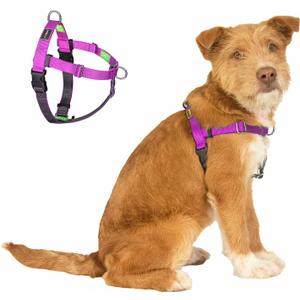 Freedom No Pull Dog Harness, Easy Walker, Front and Back Clips, Stop Pulling with 2 Stainless D-Rings, Sewn-in Instructions Tags for Easy Use, for Small Dogs Weight 20-30 lbs (Purple, Small)