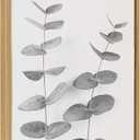 Kate and Laurel Sylvie Eucalyptus Botanical II Gray and Soft White Framed Canvas Wall Art by The Creative Bunch Studio, 18x40 Panel Gold, Minimalist Decorative Plant Dcor (40L" x 18W")