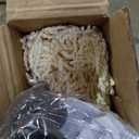 JONATHAN Y Half Umbrella UMB1201D Beverly 9 ft. Designer Classic Scalloped Fringe Market Patio with Crank, Push Button Tilt and UV Protection in Cream/White