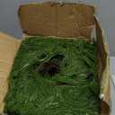 12 Pcs Christmas DIY Green Wreath 10 Inch Artificial DIY Faux Plain Wreaths Front Door Green Farmhouse Cabinets Indoor Outdoor Wall Decor(Norfolk Pine)