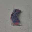 Lilosy Sexy Floral Lace Scallop Underwire Push Up Sheer Lingerie Set Outfits (X-Small, Royal Blue)