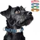 WHIPPY Vegan Leather Dog Collar No Slip Martingale Dog Collar with Quick Release Metal Buckle for Large Medium Small Dogs,Blue (L:Fit 16-21" Neck)