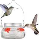 Nature's Way Bird Products MJF1 Nature's Way Mason Jar Hummingbird Dish Feeder, Clear (4" dia.)