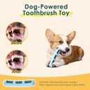 Bite and Brush Dog Chew ToysNew & Improved3-Pack Dental Chew Toy with Bristles for Teeth Cleaning, Tough Interactive Dog Toys to Keep Them Busy,Small Dog Toys for Puppy Teething &Training