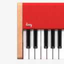 Loog digital piano - portable keyboard for beginners with musician grade sound, MIDI over USB-C rechargeable musical educational instrument, Compact, Set name: Loog piano, Measures only 18.92 x 7.5 x 2.71 inches and weighs 3.64 pounds