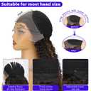 Brown with Highlight Synthetic Lace Front Wig 13x4 Long Curly Wig with Baby Hair Natural Preplucked Hairline 24 Inch Wavy Wig for Black Women Daily Party Use