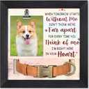 Pet Dog Memorial Gifts for Loss of Dog, Dog Sympathy Gift, Dog Loss Sympathy Gift, Pet Memorial Dog Picture Frame, Pet Memorial Frame with Collar Holder, Cat Memorial Gift