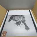 MCS Trendsetter 20x30 Poster Frame Black High-Gloss, Vertical & Horizontal Wall Hanging Large Picture Frame for Photos, Posters & Art Prints (2-Pack)