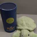 Hugz Official Shelly The Turtle - Premium Weighted Stuffed Animal Plushie 3.8 lb for Adults & Kids - Microwavable  Heatable & Coolable  Super Soft Fur  Gift Ready Tube Packaging