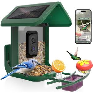 Bird Feeder with Camera Solar Powered : Smart Camera Bird Feeder 2K Live Feed Cam for Backyard - AI Identify Auto Capture Videos Pictures, Gifts for Birdlover Mom Dad, 2.4GHz WiFi (Green)