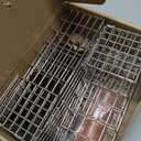 2Sets One Way Squirrel Door Excluders, 3  3  9inch Animal Excluder Cage, Humane Squirrels, Chipmunks Contactless Excluder, for Outdoor Spaces Like Attics, Chimneys - Includes Full Installation Kit