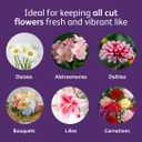 Chrysal Bio-Based Flower Food  Universal Flower Preservative for Fresh Cut Flowers  Eco-Friendly 10 oz Jar with Scoop  Extends Vase Life by Up to 60% (EXP 05/05/27)