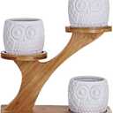3pcs Owl Succulent Pots with 3 Tier Bamboo Saucers Stand Holder - White Modern Decorative Ceramic Flower Planter with Drainage - Home Office Desk Garden Mini Cactus Plant Pot Indoor Decoration