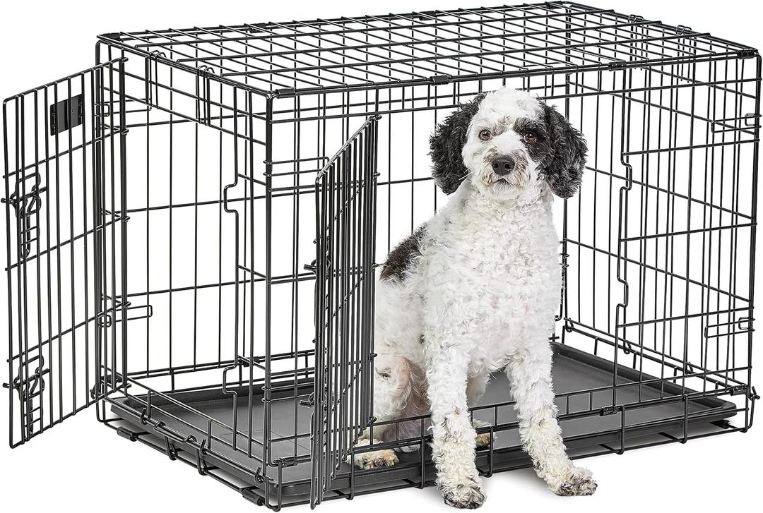 MidWest Homes for Pets Medium Dog Crate | Midwest Life Stages 30' Double Door Folding Metal Dog Breed Crate | Divider Panel,Floor Protecting Feet & Dog Pan | 30.6L x 19.3W x 21.4H Inches (Black)