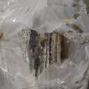 Loloi Chris Loves Julia Francis Collection FRA-01 Beige/Charcoal 8'-6" x 12' Area Rug