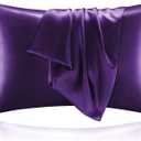 BEDELITE Satin Pillowcase with Zipper, Plum Purple Pillow Cases Queen Size Set of 2, Super Soft and Cooling Similar to Silk Pillow Cases, Gift for Women Men(20x30 Inches)