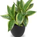 DILATATA Fake Snake Plant 11 Inch Small Potted Good Luck Plant Artificial Snake Plants Faux Mother in Law Tongue Sansevieria Plant - 20 Leaves Fake Laurentii for Indoor Outdoor Home Office Decor