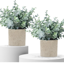 2 Pack Fake Plants Eucalyptus Small Potted Artificial Plants Indoor Greenery for Shelf Desk Home Bathroom Modern Farmhouse Living Room Coffee Table Decor