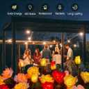Brightown Outdoor Solar Garden Lights - 4 Pack LED Flower Lights with Realistic Rose, Bigger Solar Panel, Waterproof for Yard & Patio Decorations