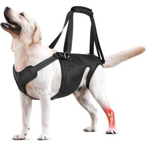 Dog Lift Harness